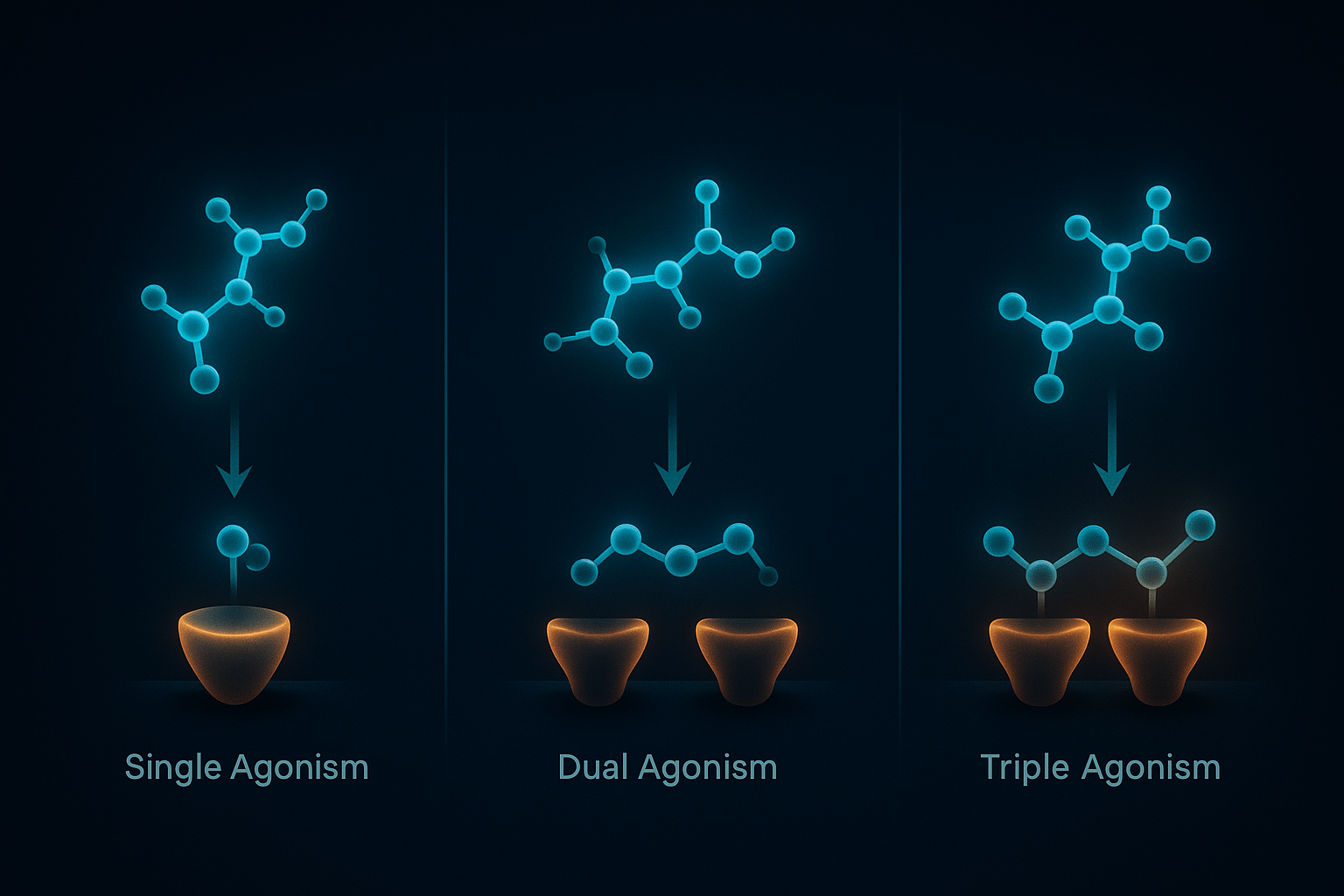 Comparison of single, dual, and triple receptor agonism in GLP pathway research